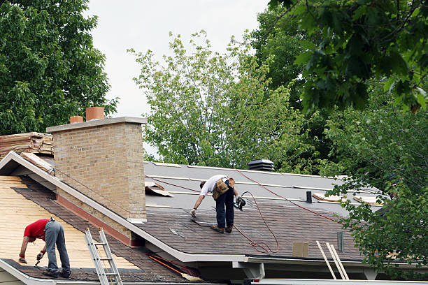 Roof Gutter Cleaning in Belvidere, NJ