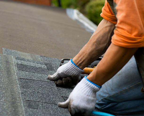 Best Commercial Roofing Services  in Belvidere, NJ